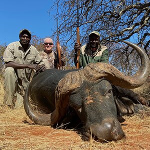 Buffalo Hunt South Africa