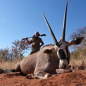 Gemsbok Hunting Limpopo South Africa