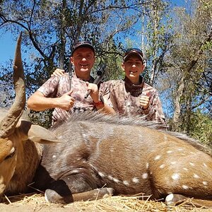 Bushbuck Hunt Bulawayo Zimbabwe