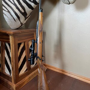 Ruger M77 Rifle