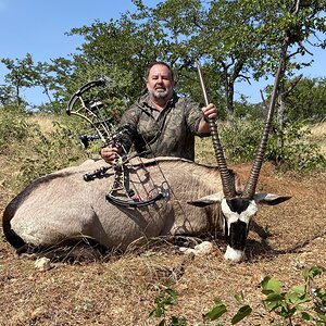 Gemsbok Compound Bow Hunt South Africa