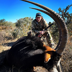 Sable Hunt Eastern Cape South Africa