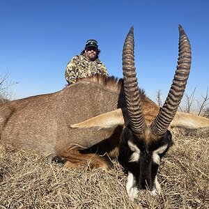 Roan Hunt Eastern Cape South Africa