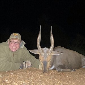 Bushbuck Hunt South Africa