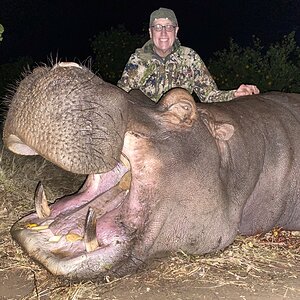 Hippo Hunt South Africa