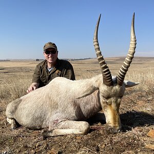 White Blesbok Hunt South Africa