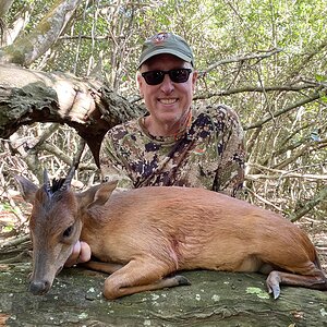 Red Duiker Hunt South Africa