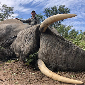 Elephant Hunting Zimbabwe