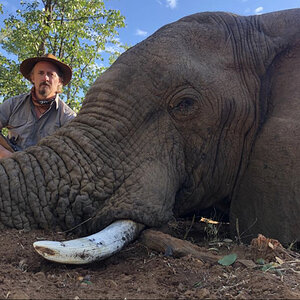 Elephant Hunting Zimbabwe