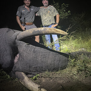 Elephant Hunting Zimbabwe