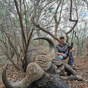 Buffalo Hunting South Africa