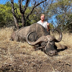 Buffalo Hunting South Africa