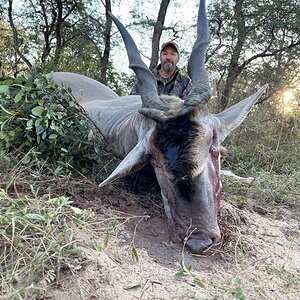 Eland Hunting