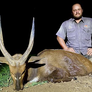 Nyala Hunt South Africa