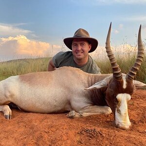 Blesbok Hunt Northen Cape South Africa