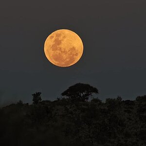 Landscape & Moon Northen Cape South Africa