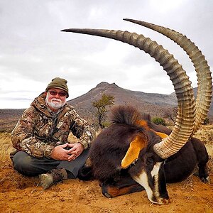 Sable Hunting Eastern Cape Somerset East South Africa