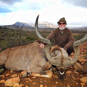 Kudu Hunting Eastern Cape Somerset East South Africa