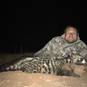 Civet Cat Hunting