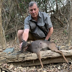 Blue Duiker Hunt Zambia