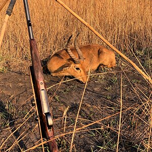 Puku  Hunting Zambia