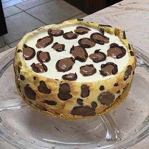 Leopard Cake