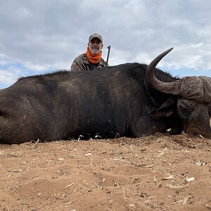 My first Cape Buffalo