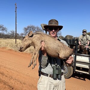 Rescuing a juvenile warthog