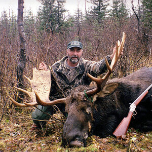 Moose Hunt Alaska