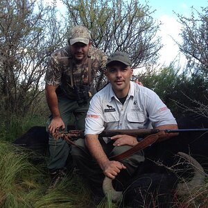 Water Buffalo Hunt Argentia