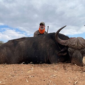 Buffalo Hunting South Africa