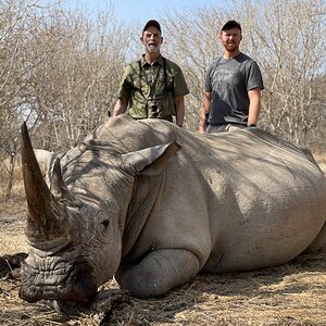 White Rhino Hunting Limpopo South Africa