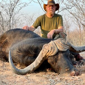 Phantom Buffalo Hunt Namibia