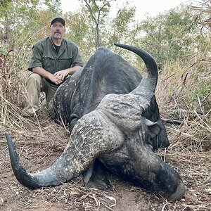 Buffalo Hunt Zimbabwe