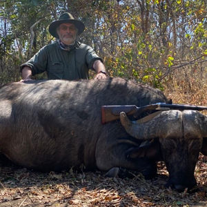 Buffalo Hunt Zimbabwe