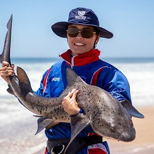 Fishing Shark Namibia