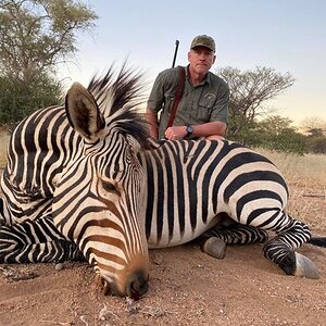 Hartmann’s Mountain Zebra Hunting Namibia