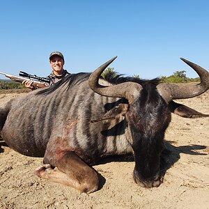 Blue Wildebeest Hunt South Africa