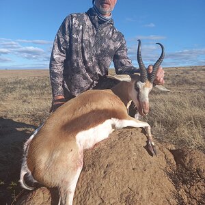 Springbok Hunt South Africa