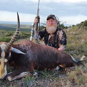 Blesbok Hunt South Africa