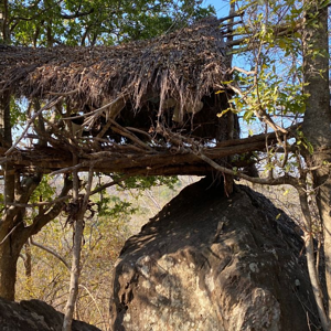 Poacher Shelter Zimbabwe