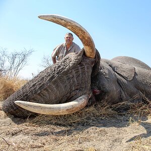 Elephant Hunt Botswana