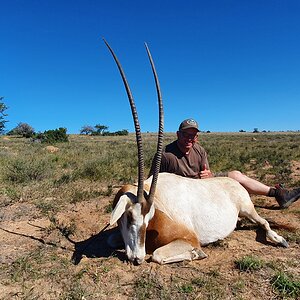 Scimitar Oryx Hunt South Africa