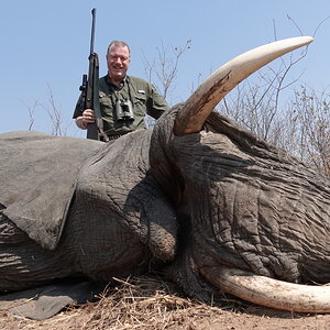 Elephant, Gwayi River, Zimbabwe, August 2021