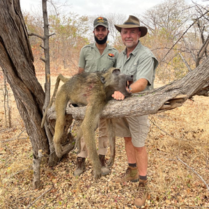 Baboon Hunt Mozambique