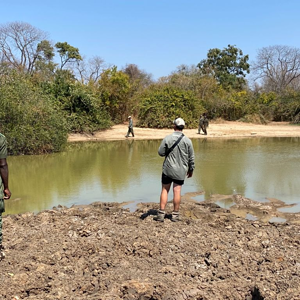 Tracking Game Zimbabwe