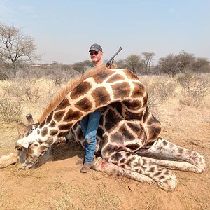 Giraffe Hunt Namibia