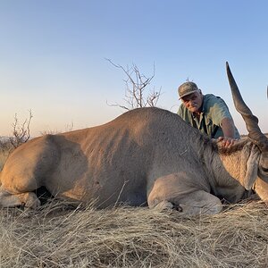 Eland Hunt Namibia