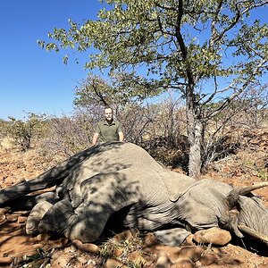 Elephant Hunt Zimbabwe