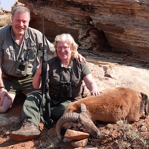 Mouflon Hunt